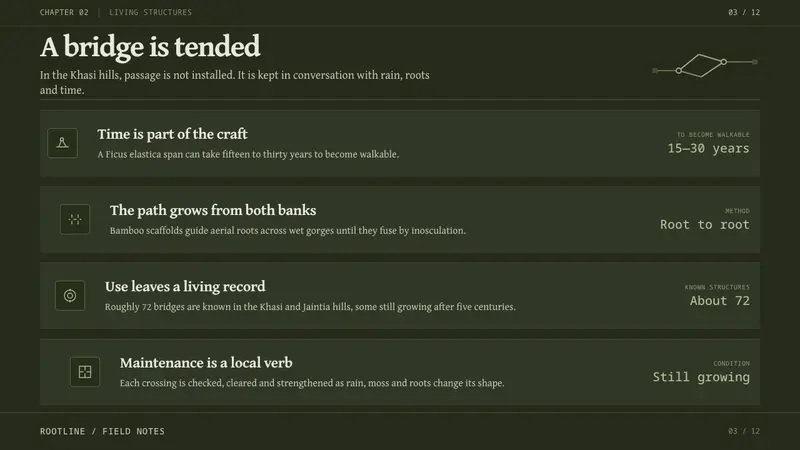 Khasi Living Root Bridge — Slides · content