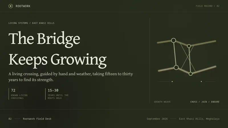Khasi Living Root Bridge — Slides · cover