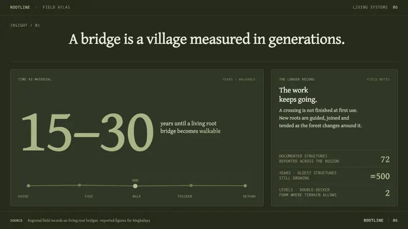 Khasi Living Root Bridge — Slides · data