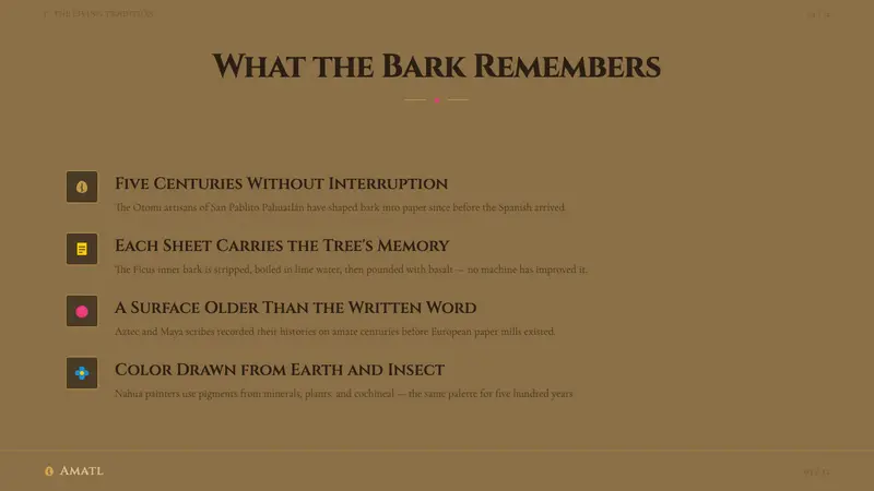 Mexican Amate Bark Paper — Slides · content