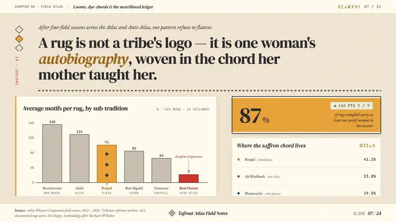 Moroccan Amazigh Berber Rug — Slides · data