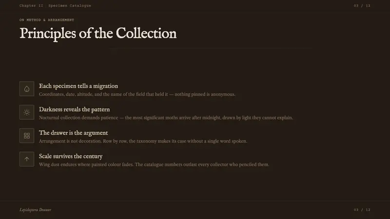 Lepidoptera Drawer — Slides · content