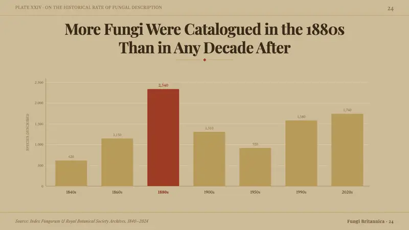 Victorian Mycology Plate — Slides · data