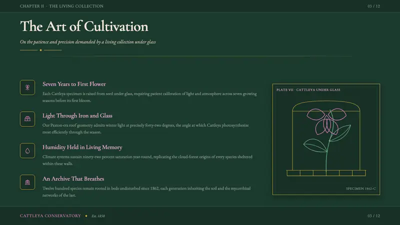 Orchid Conservatory — Slides · content