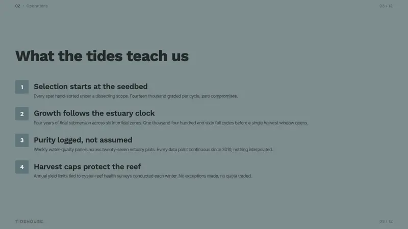 Oyster Farm (Estuary) — Slides · content