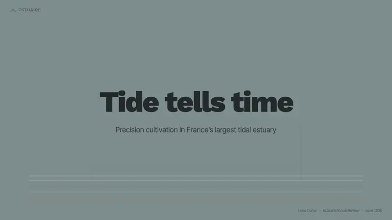 Oyster Farm (Estuary) — Slides · cover