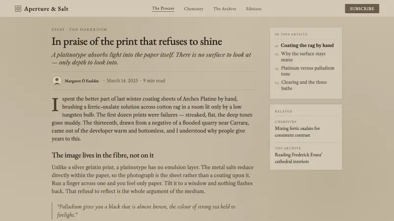 Platinum-Palladium Print — Web · article