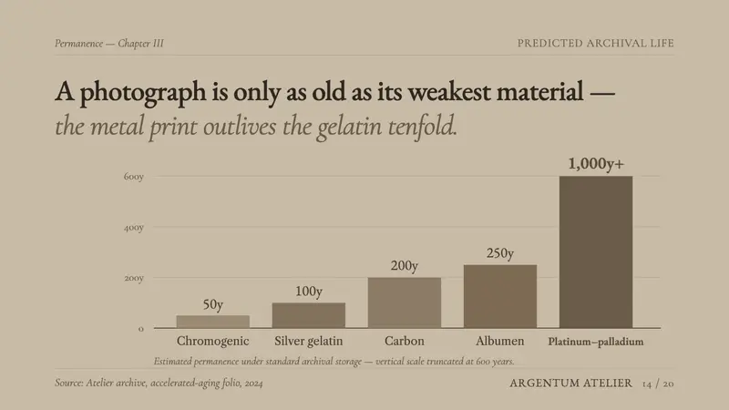 Platinum-Palladium Print — Slides · data
