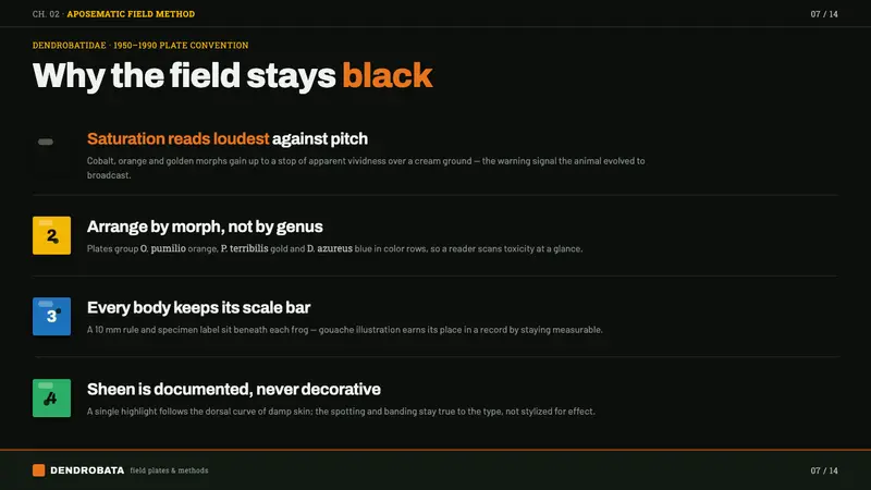 Poison Dart Frog Plate — Slides · content
