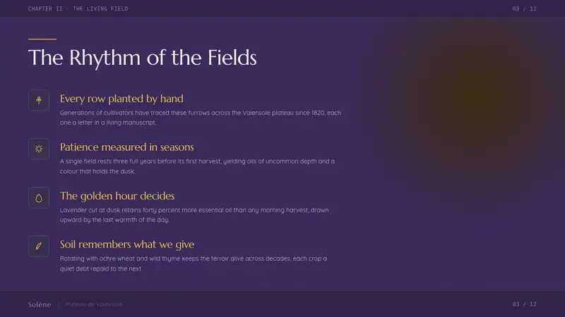 Provence Lavender — Slides · content
