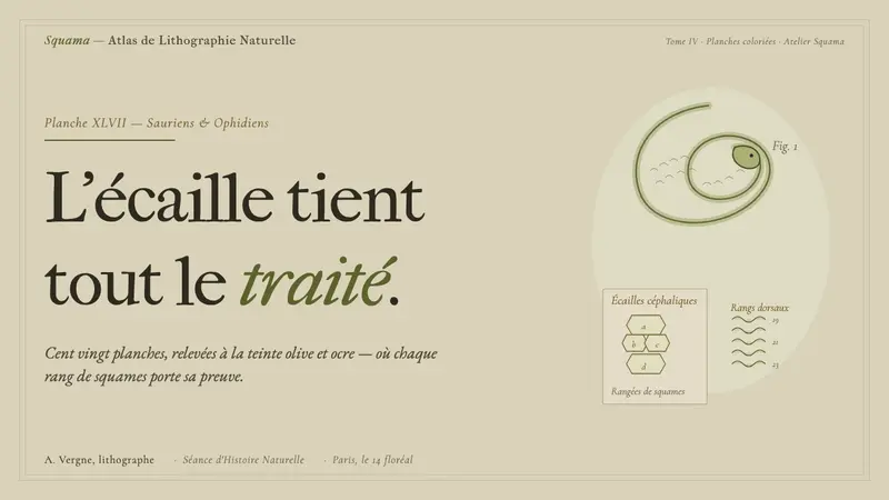 Herpetology Scale Plate — Slides · cover