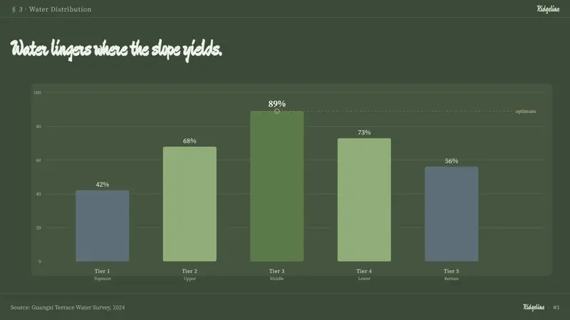Rice Terrace — Slides · data