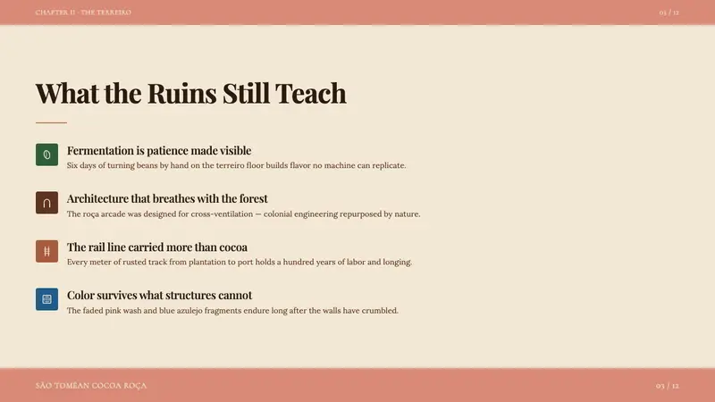 São Toméan Cocoa Roça — Slides · content