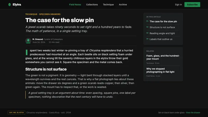 Iridescent Scarab Drawer — Web · article