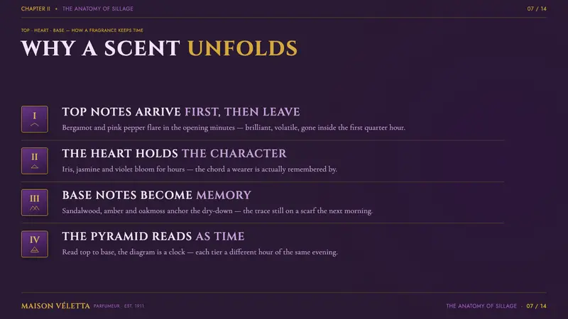 Fragrance Scent Pyramid — Slides · content