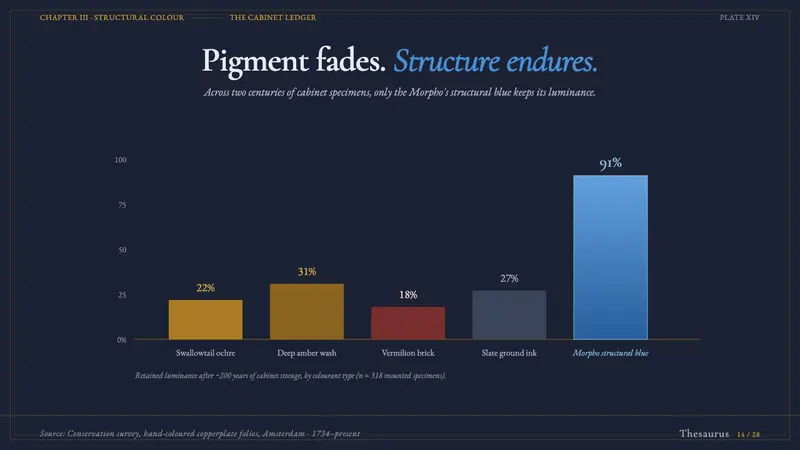 Seba Butterfly Cabinet — Slides · data