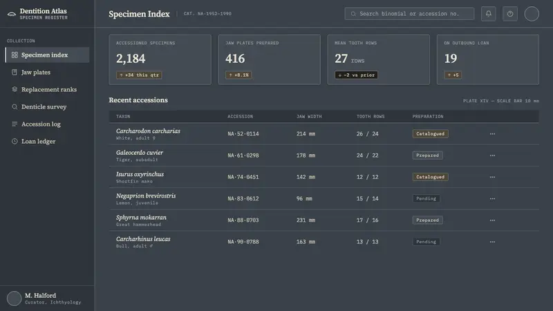 Shark Jaw & Dentition — Web · dashboard