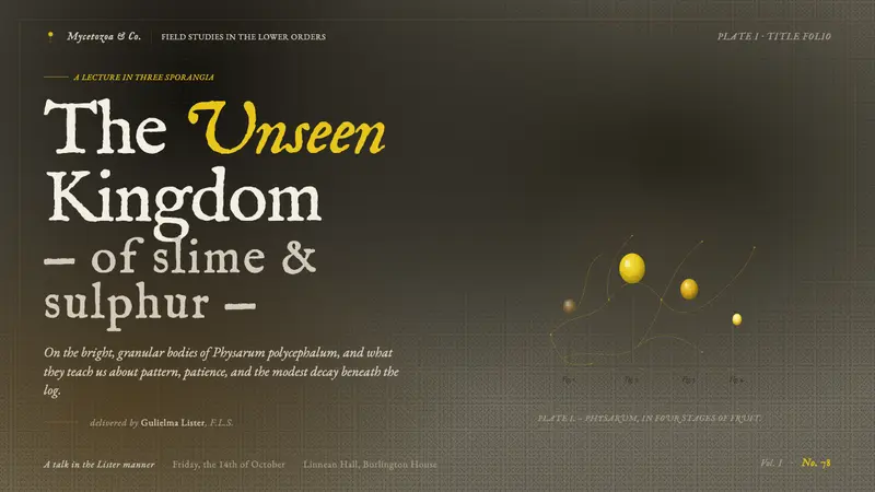 Slime Mold Plasmodium (Lister Plate) — Slides · cover