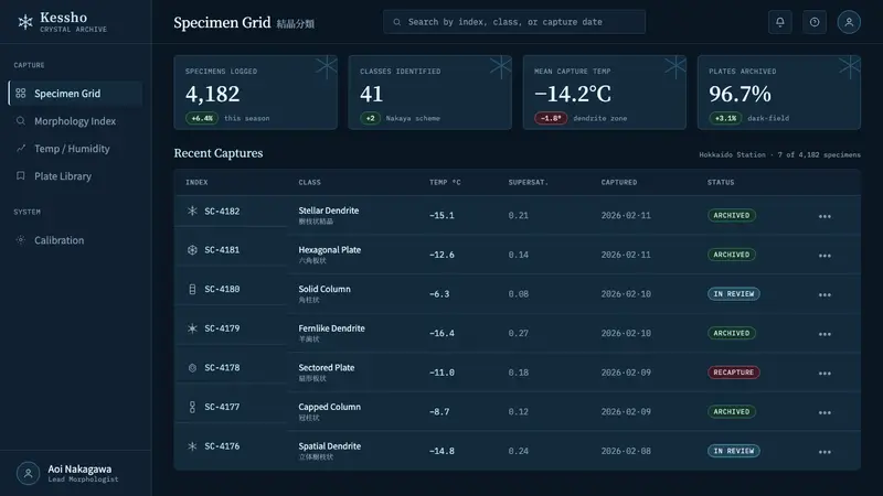Snow Crystal Classification — Web · dashboard