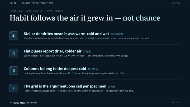 Snow Crystal Classification — Slides · content