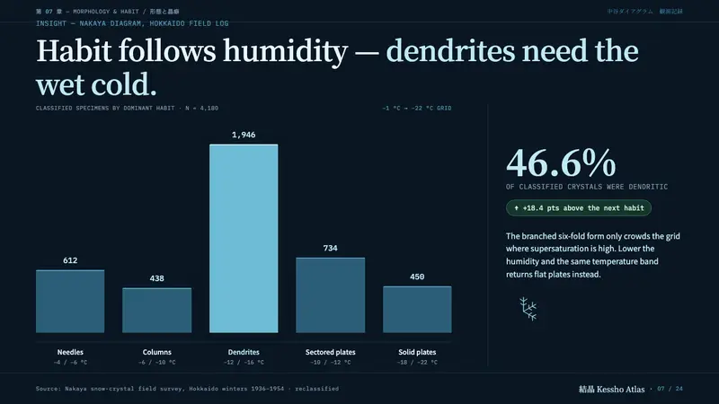 Snow Crystal Classification — Slides · data