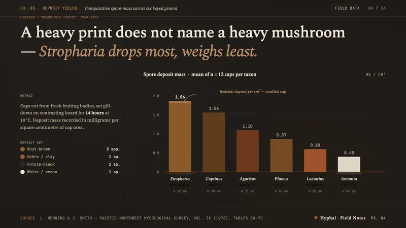 Spore Print Card — Slides · data