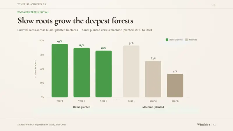 Studio Ghibli (Miyazaki) — Slides · data