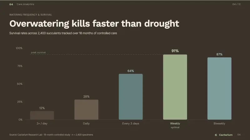 Succulent Cactarium — Slides · data