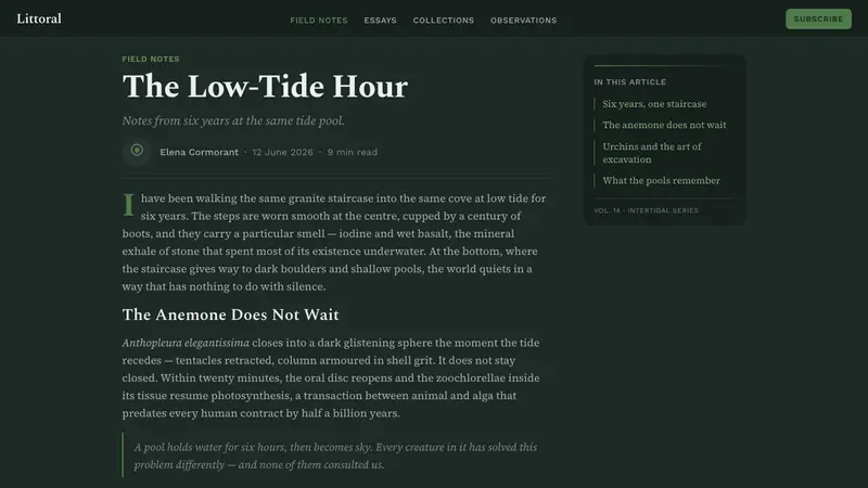 Tide Pool (Intertidal) — Web · article