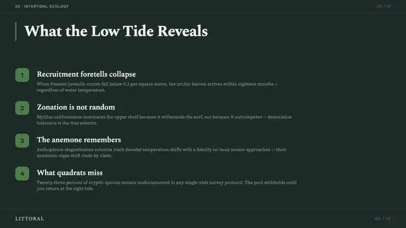 Tide Pool (Intertidal) — Slides · content