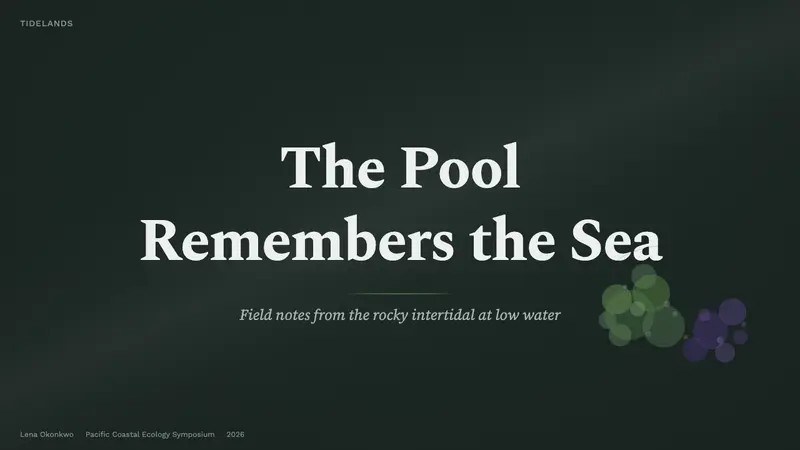 Tide Pool (Intertidal) — Slides · cover