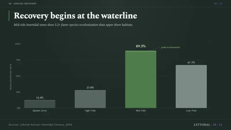 Tide Pool (Intertidal) — Slides · data