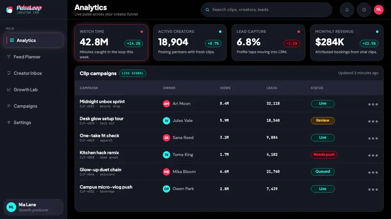 TikTok 2024 — Web · dashboard