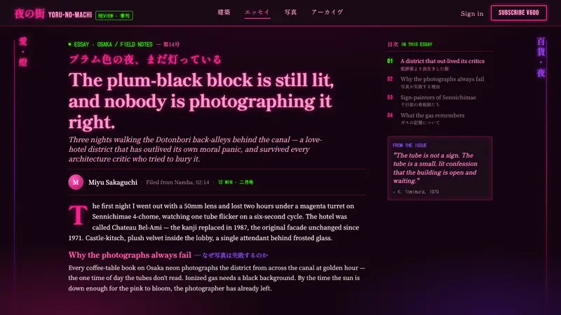 Osaka Love Hotel Neon — Web · article