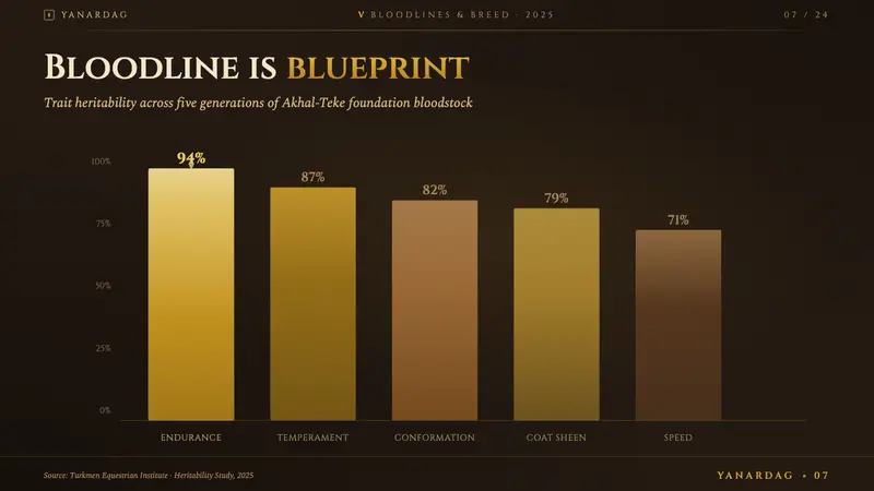 Akhal-Teke Golden Horse — Slides · data