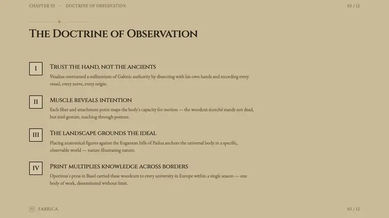 Vesalius Anatomy — Slides · content