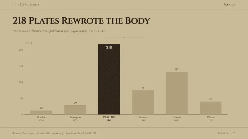 Vesalius Anatomy — Slides · data