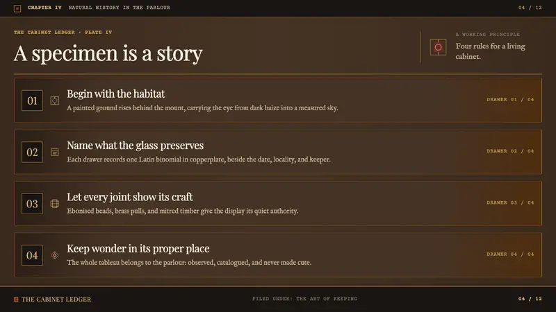 Victorian Taxidermy Cabinet — Slides · content