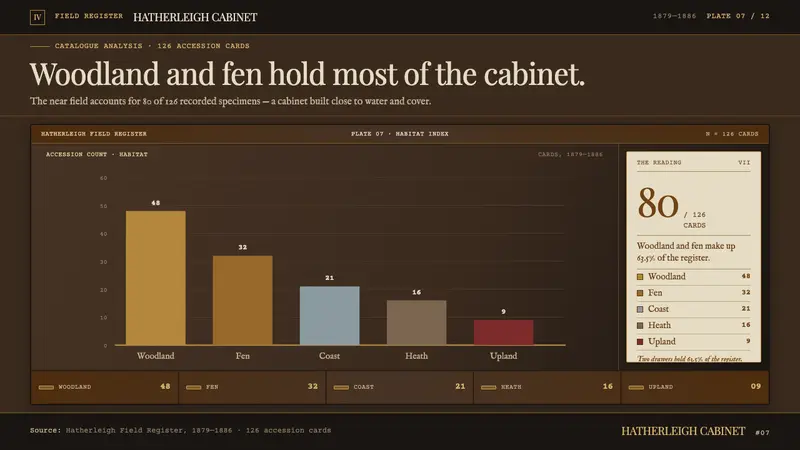 Victorian Taxidermy Cabinet — Slides · data