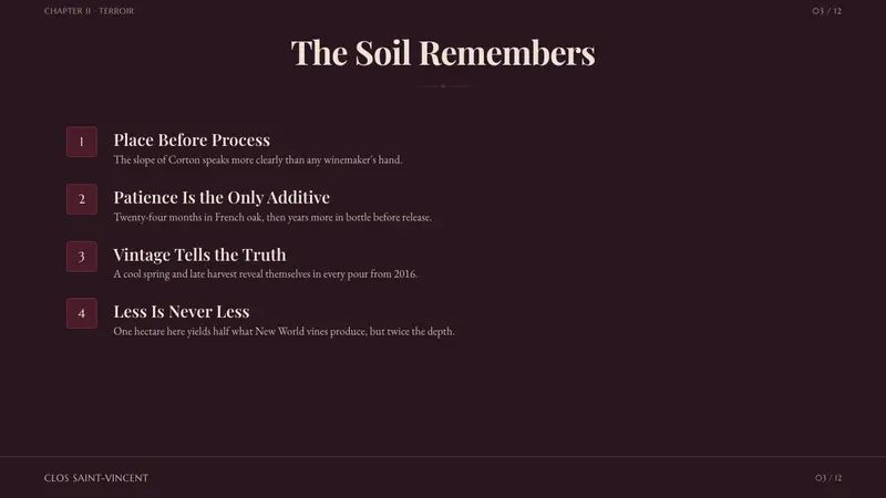 Burgundy Vineyard — Slides · content