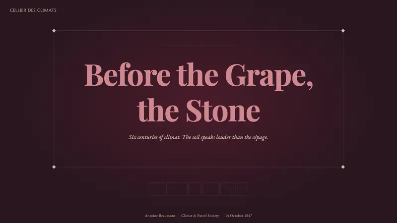 Burgundy Vineyard — Slides · cover