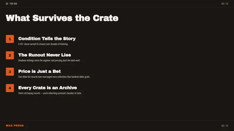 Vinyl Crate Digging — Slides · content