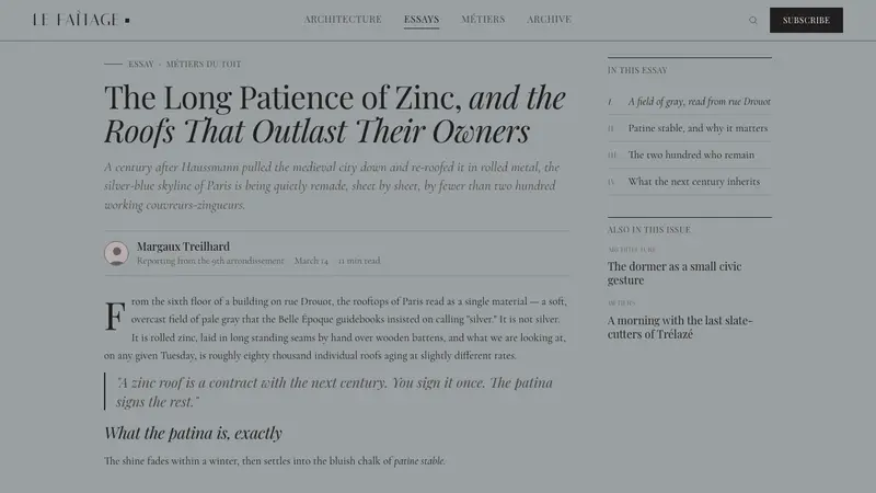 Paris Zinc Rooftops — Web · article