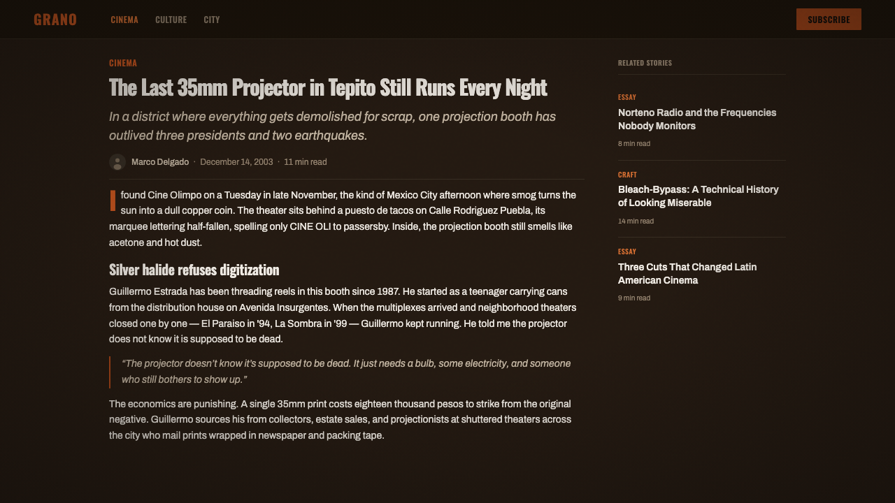 Amores Perros New Wave design style applied to a Article page