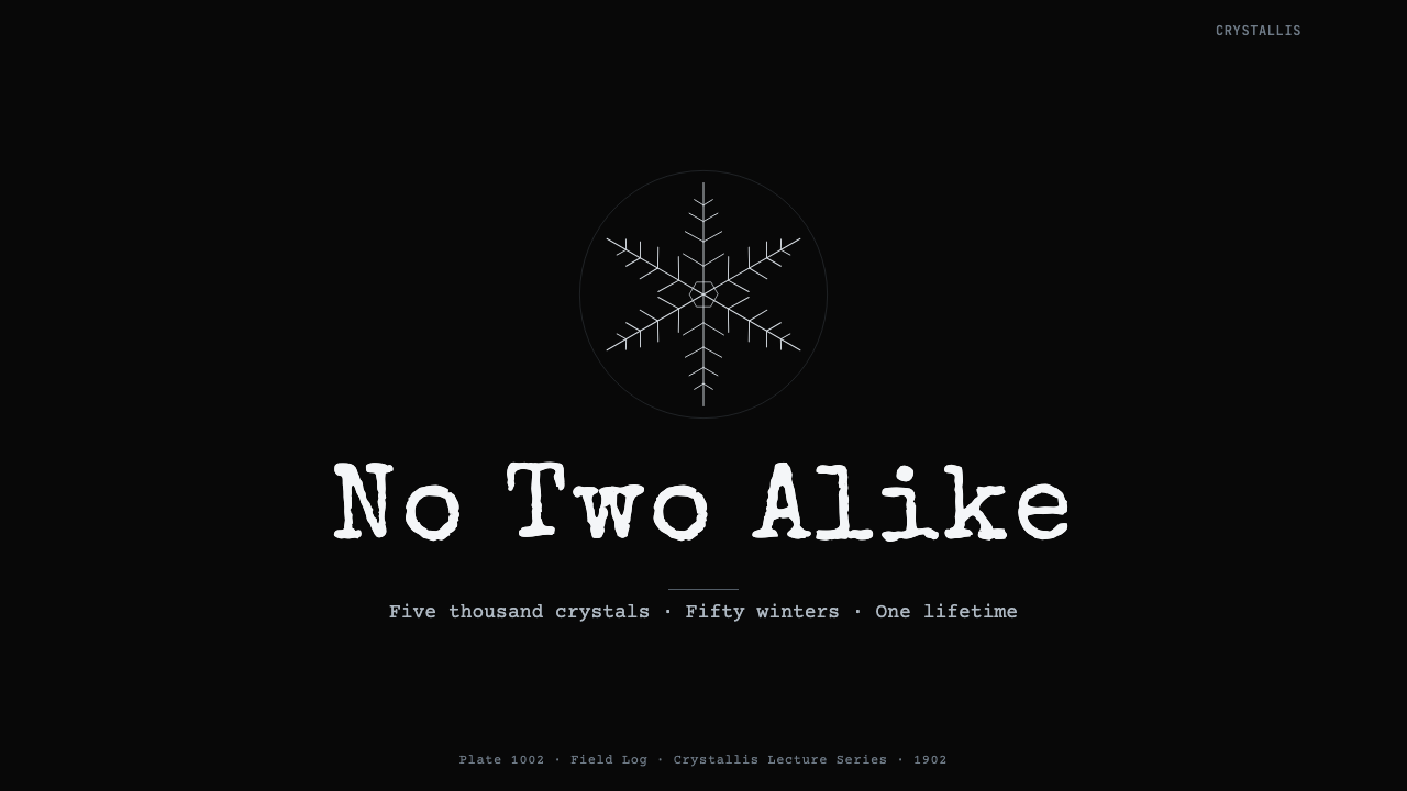 Bentley Snowflake design style applied to a Slide · cover