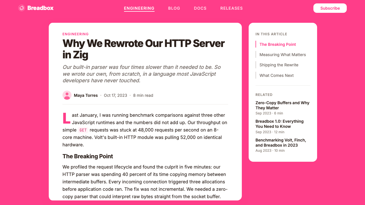 Bun JS Runtime Pink 2023 design style applied to a Article page