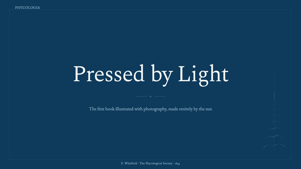 Anna Atkins Cyanotype design style applied to a Slide · cover
