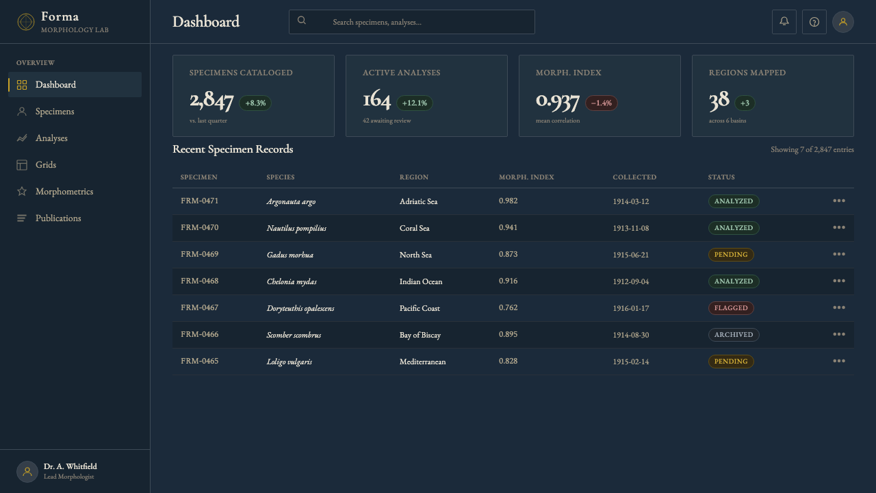On Growth and Form design style applied to a Dashboard