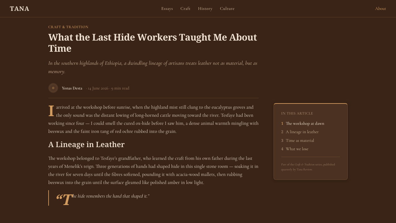 Ethiopian Hide Shield 设计风格用在文章页上