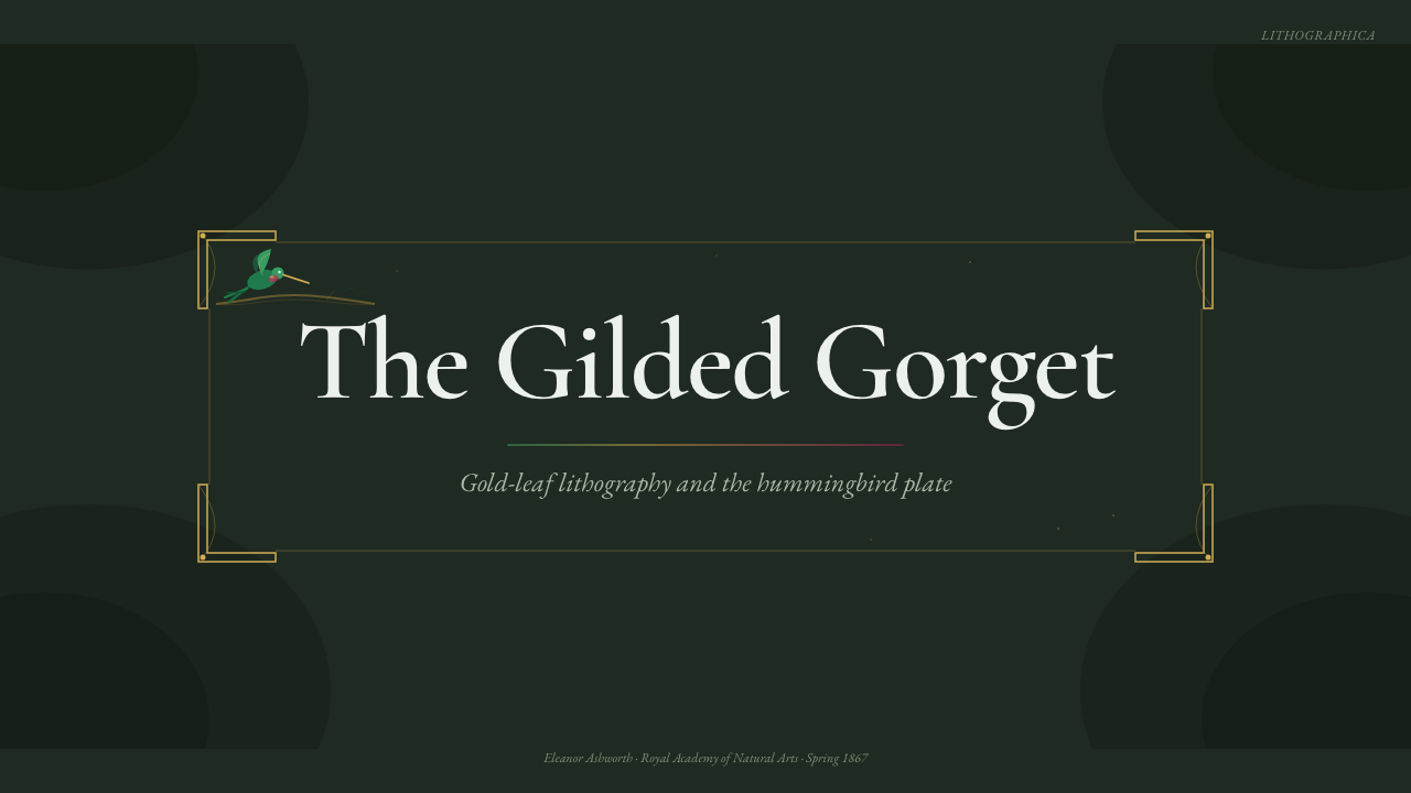 Gould Hummingbird Plate 设计风格用在幻灯片 · 封面上